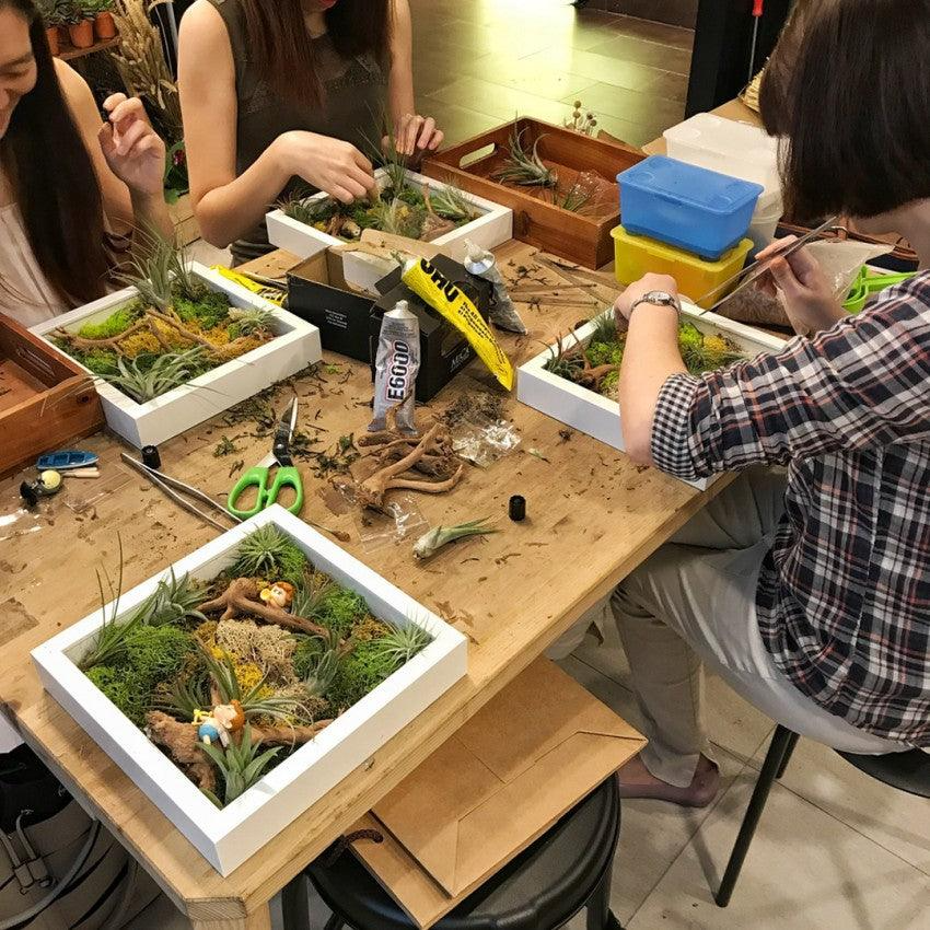 Airplant Workshops - BYKidO 